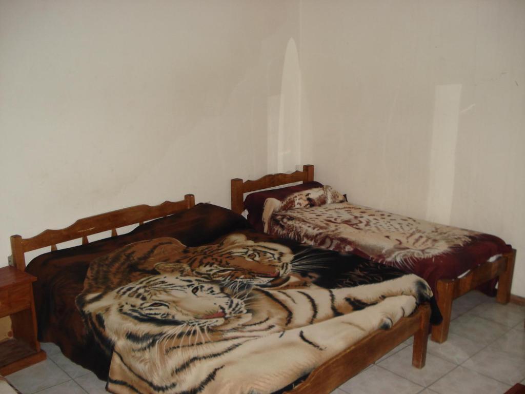 Hotel Danaly Салто Стая снимка